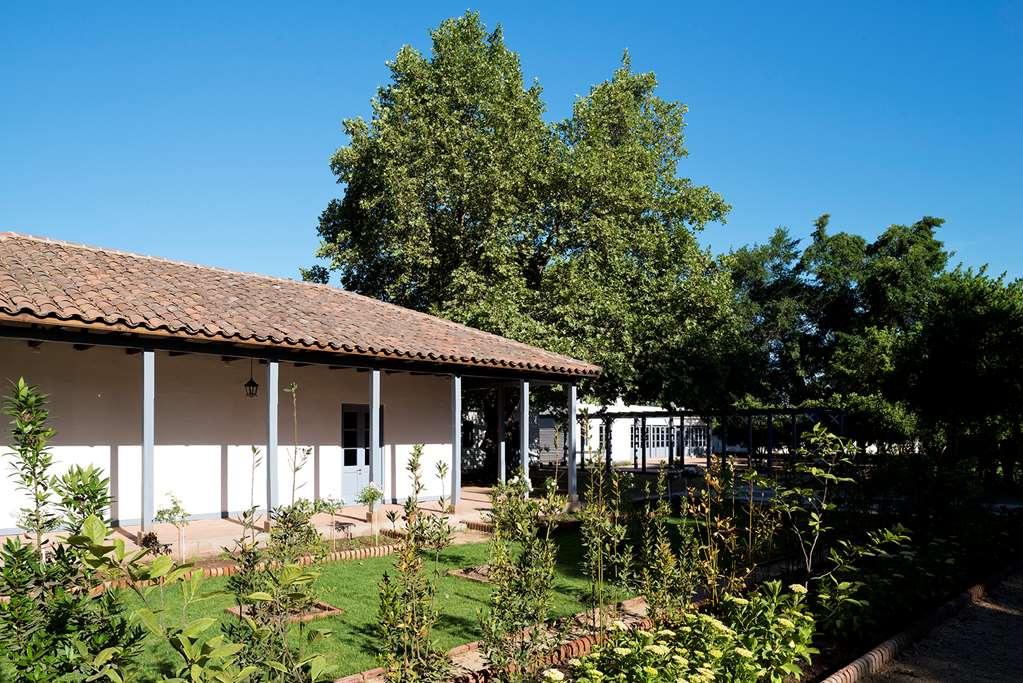 Hotel Noi Blend Colchagua Santa Cruz Exteriér fotografie