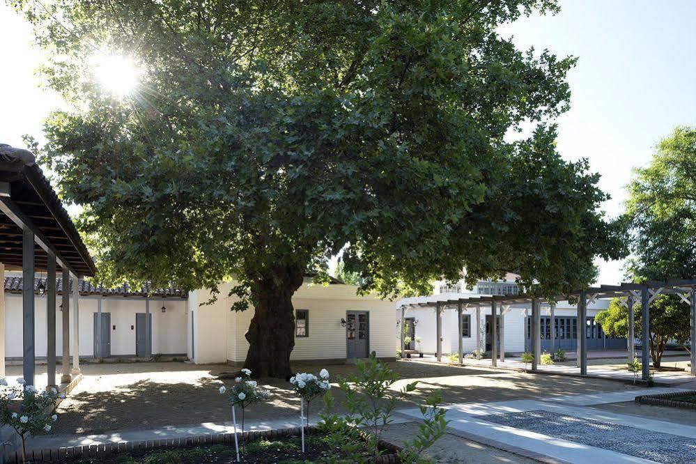 Hotel Noi Blend Colchagua Santa Cruz Exteriér fotografie