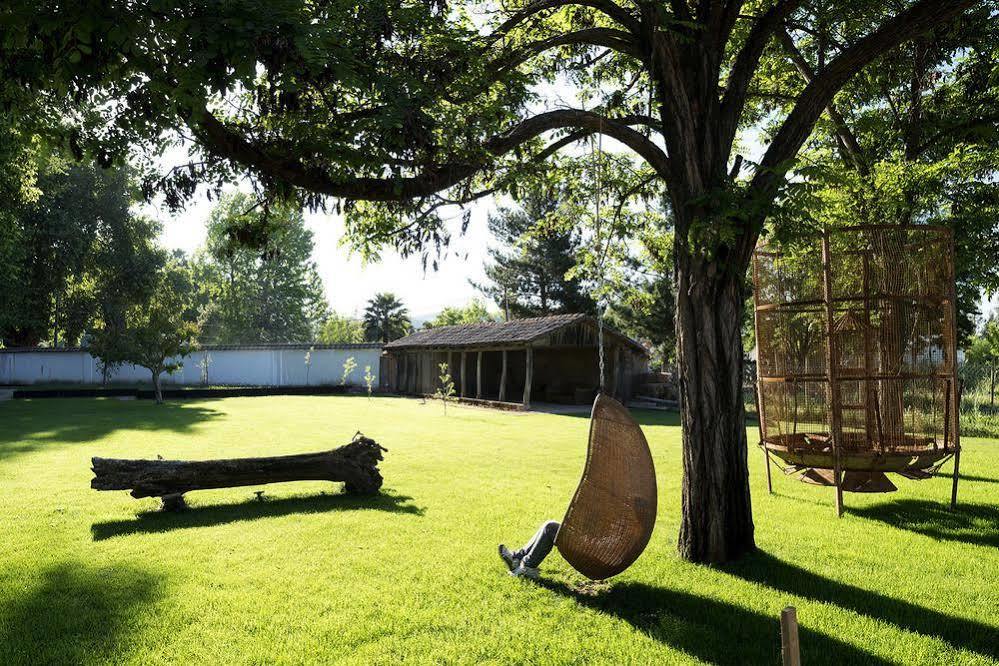 Hotel Noi Blend Colchagua Santa Cruz Exteriér fotografie